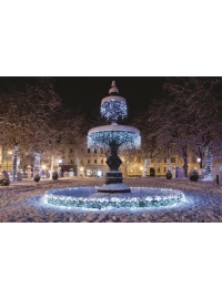 Ghirlanda ext. 50 LED+FLASH Alb Cald cu Cablu...