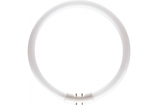 Tub Fluorescent TL5 Circular 55W/840