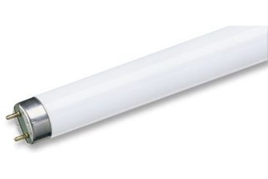 Tub Fluorescent TL-D 18W Snow White 1Sl/25