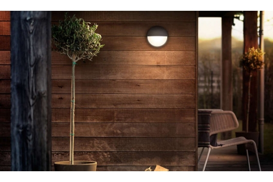 Felinar perete Capricorn Antracit 1x6W