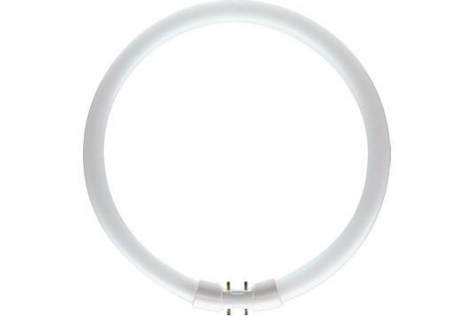 Tub Fluorescent Master TL5 Circular 22W/840 1CT/10