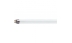 Tub Fluorescent Master Tl5 He 14W 840